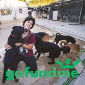gofundme